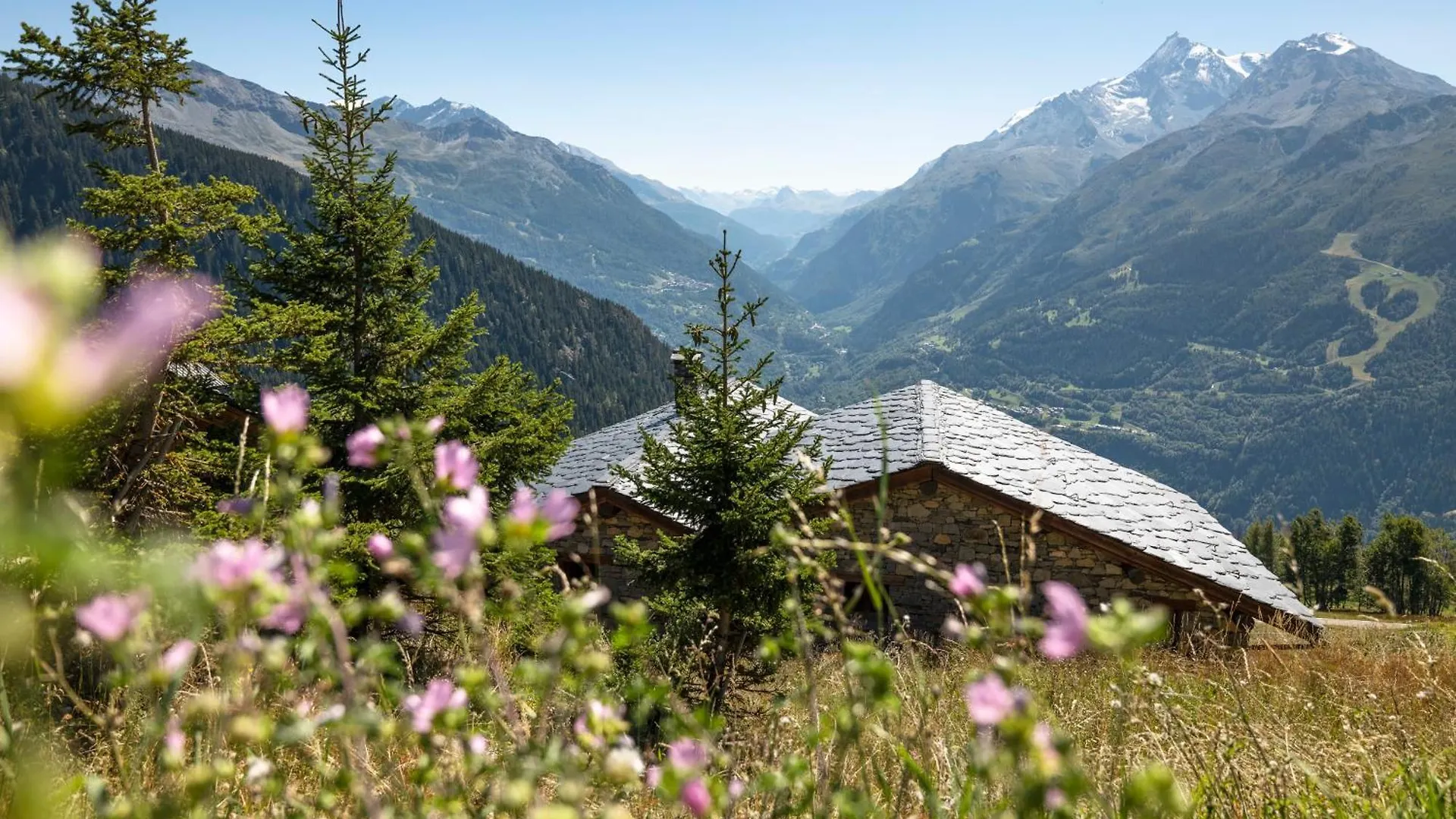 Residence Alpen Lodge La Rosiere  Apartahotel La Rosiere (Savoie)